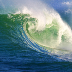 FLOOD IT OUT IG: @TRUMANSIG