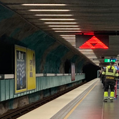 8_DMN7_buchla_craze_2019.wav