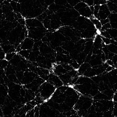 cosmic voids