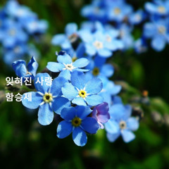 잊혀진 사랑(One Forgotten Love)