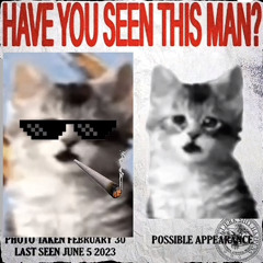 jerk белый порошок