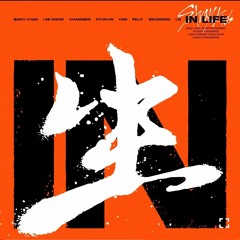 stray kids in生 full album