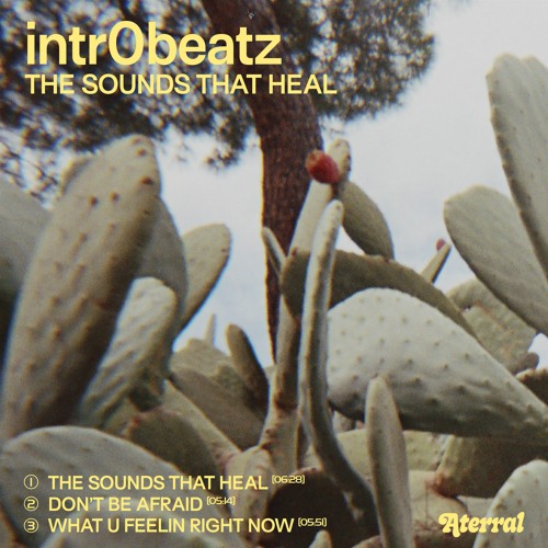 PREMIERE: Intr0beatz - Dont Be Afraid [ATRRL025]