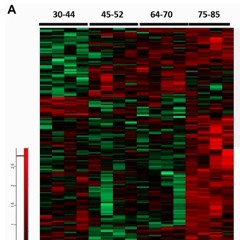 Brain Aging Insights from Individuals Without Neurodegeneration