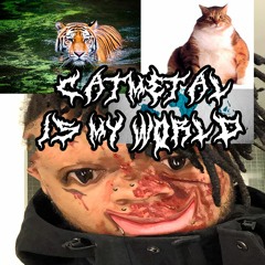 Catmetal Is My World