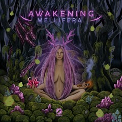 Mellifera - Emotional Woods DFMTD068 OUT NOW!