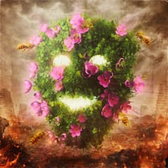 Ogledala
