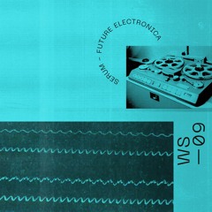 WS09 - Serum Future Electronica