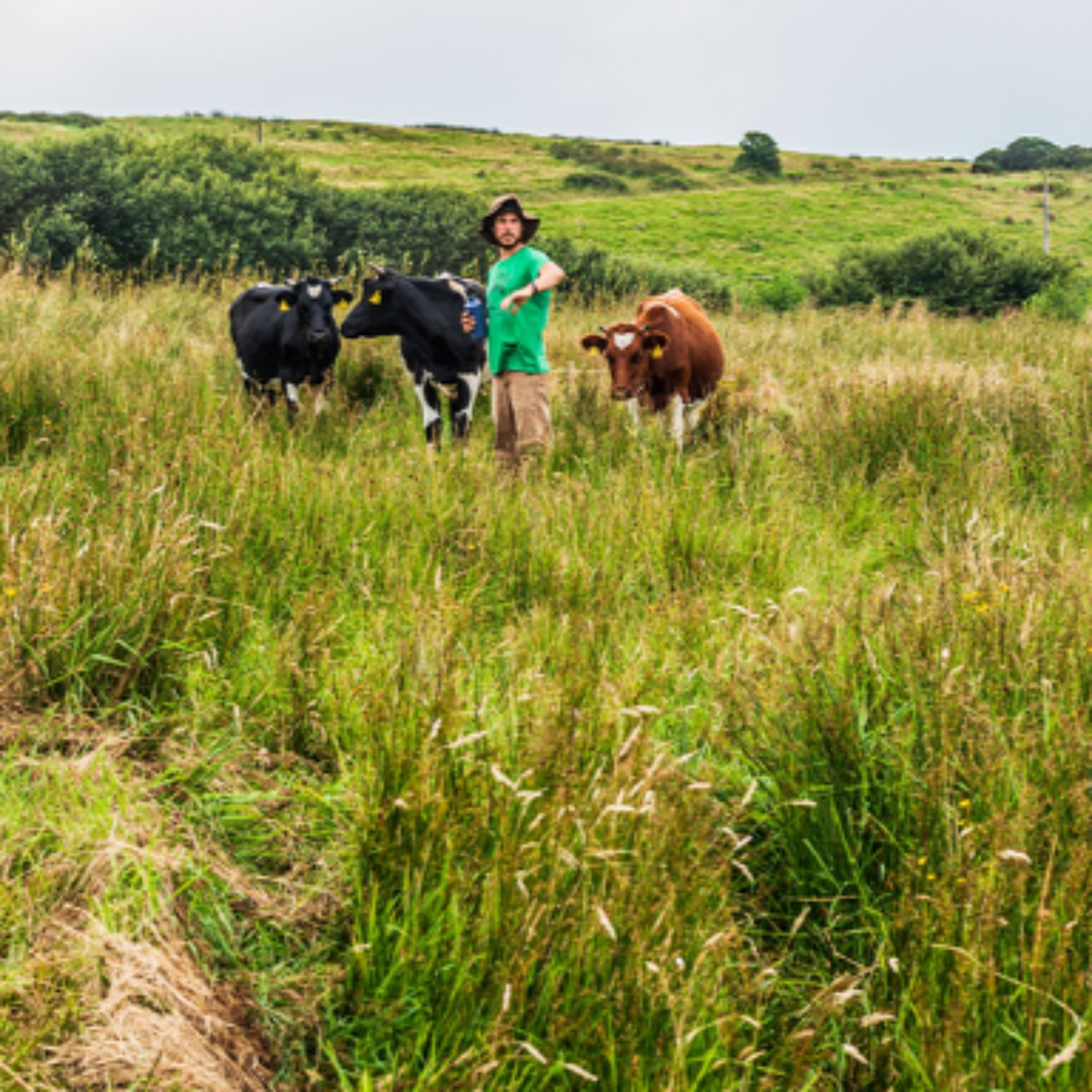 Clare Nature-Friendly Farm Opening Their Gates For Unique 'Inside The Gate' Open Farm Day episode artwork