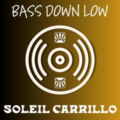 Bass Down Low (Soleil's Flavor Remix) - DEV ft. The Cataracs