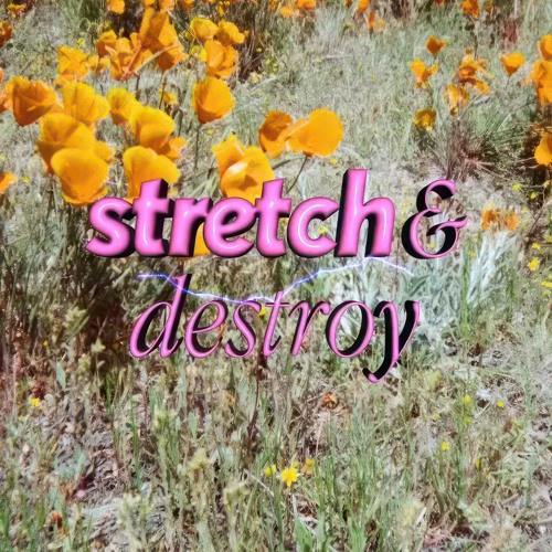 Miro at Stretch & Destroy (Kantine Konstanz) 12.04.2025