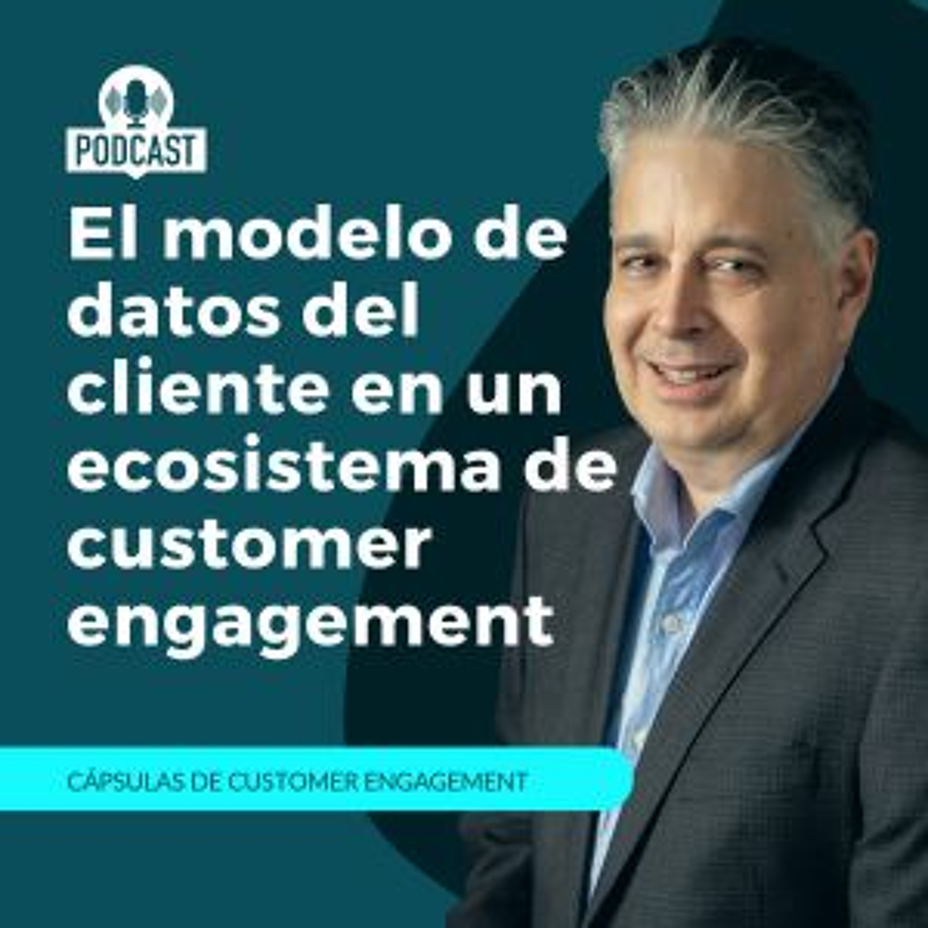 Alternativas Para Mantener Un Modelo De Datos Del Cliente En Un Ecosistema De Customer Engagement