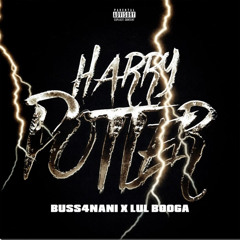 Harry Potter - Buss4nani ft. Lul booga