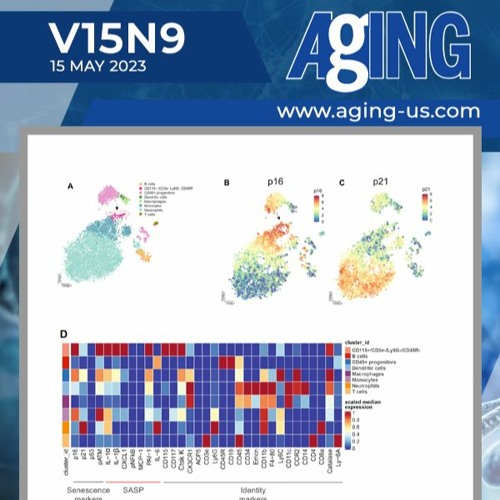 Effects of Zoledronic Acid on Senescence and SASP Markers