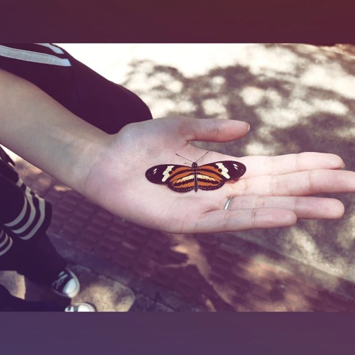 💖natural (homelocked)