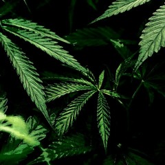 the-only-stixx-old-school