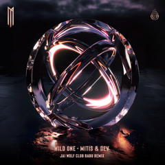 Stream Wild One (feat. DEV) (Jai Wolf Club Babu Remix) by