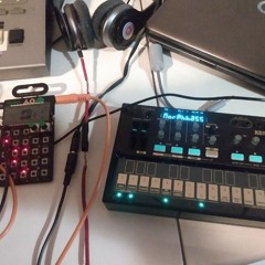 Fm-2, Po-12 - Galactic Forest