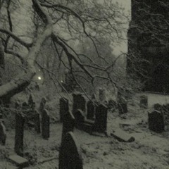 exploring darkness (forest etheria)