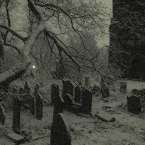 exploring darkness (forest etheria)