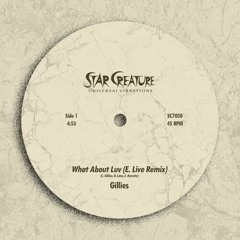Gillies - What About Luv (E. Live Remix)