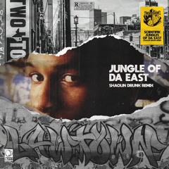 Scientifik - Jungle Of The East (Shaolin Drunk Remix)