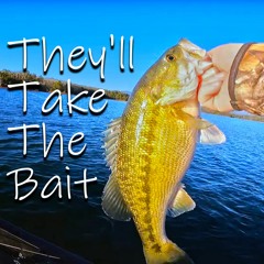 They'll Take The Bait (feat. ZachsAcoustics)