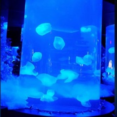 Feeling like jelly