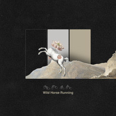 cool music and things: February 2023