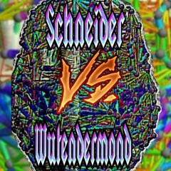 𝕾𝖈𝖍𝖓𝖊𝖎𝖉𝖊𝖗 - 𝕬𝕮𝕴𝕯 𝕴𝕹 𝕸𝖄 𝕭𝕷𝕺𝕺𝕯