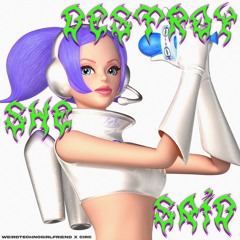 DESTROY SHE SAID