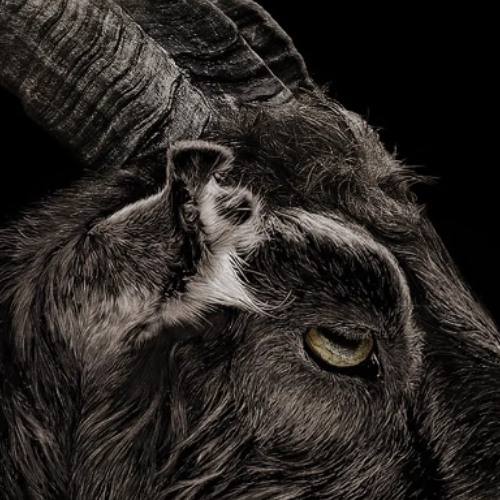 To Live Deliciously