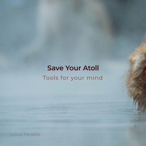 Indefinite Pitch PREMIERES. Save Your Atoll - Reality Check [Lotus Parable]