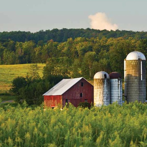 Stream Keeping Oregon Oregon North Plains' Urban Growth Boundary