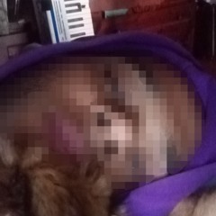 New Song (xjdd1).mp3