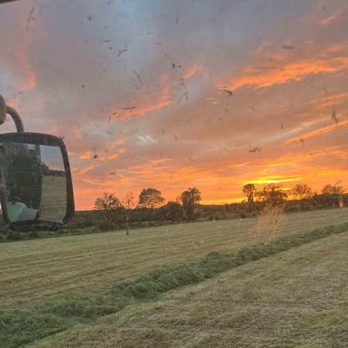 Something In The Orange - Claire Heilig