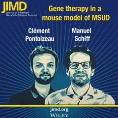 Gene therapy in a mouse model of MSUD