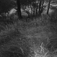 Kind Of Silence: September