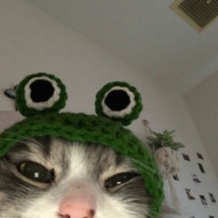 DJ DN COSTA- SABE A CARA DE GRAÇA 2023-05-08 14_43.wav