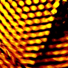 Funk - der Groove, der niemals vergeht oder die Abenteuer von Cavaliere 'Ride-my-Pony' Spruzzi