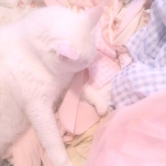 ugly - nicole dollanganger