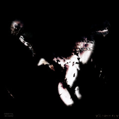 YÜ CANT FLY [PROD. CHOPSTICK]