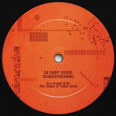 DJ Deep State - Shadowboxing