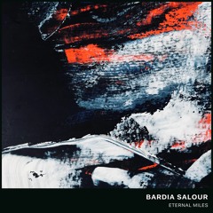 Bardia Salour - Reshape