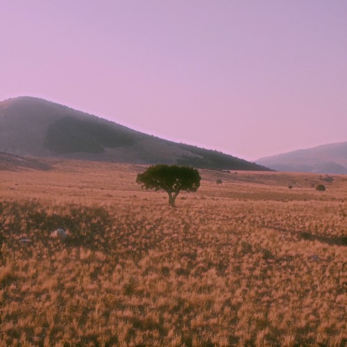 Unified Theory — Mirror Link