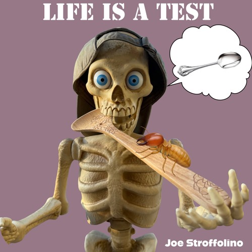 Life Is a Test