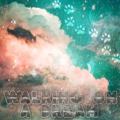 Walking On A Dream