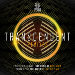 Exploration (Neonlight Remix)