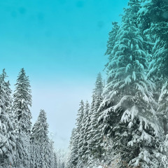 winter flute meditation