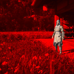 Aki no Nihon (Inspired by Assassin's Creed Shadow)